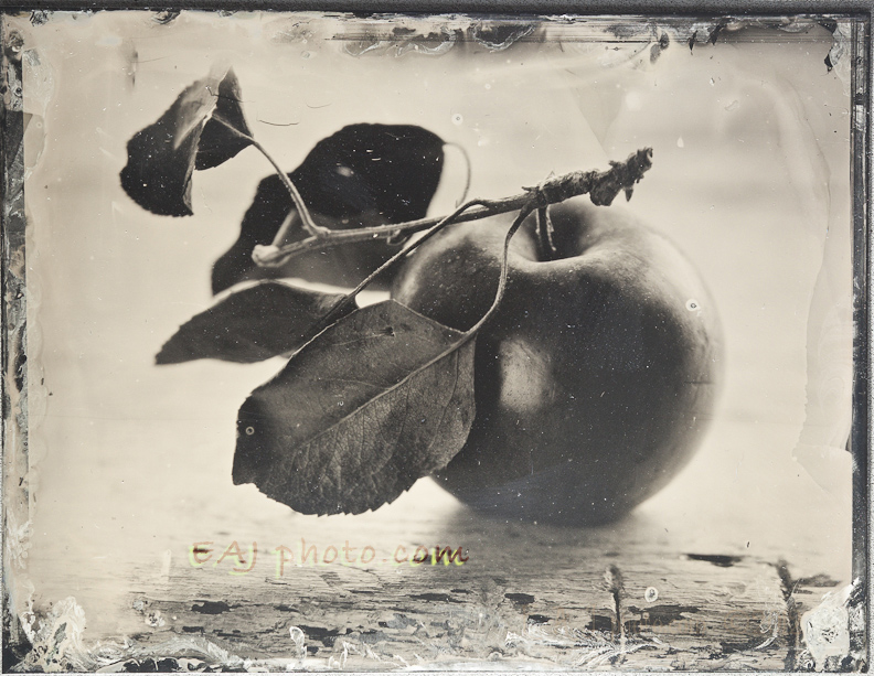 8-Apple-TinType-5138